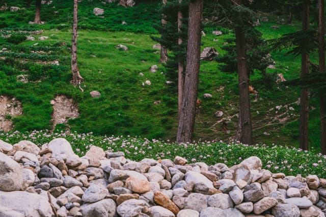 Hunza Pic